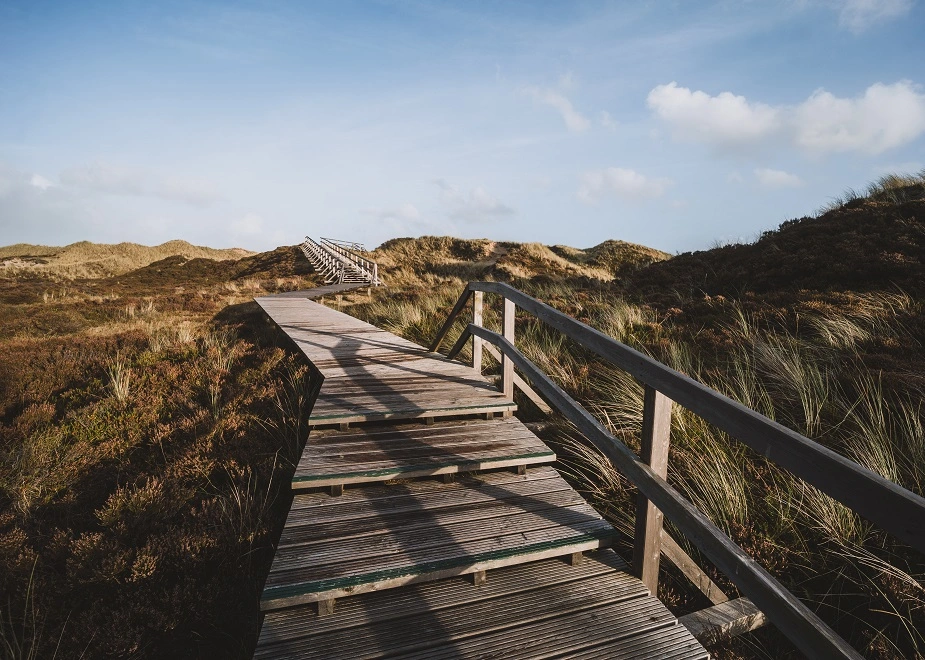 Bohlenweg auf Amrum steht für Webdesign trifft Tourismus