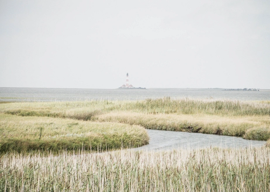 Die Nordsee mit Leuchtturm im Hintergrund zeigt faszinierendes Layout unserer Webagentur St. Peter Ording