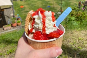 Serponado-Eisbecher